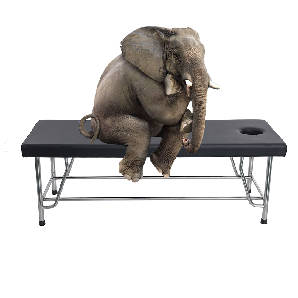 examination bed price