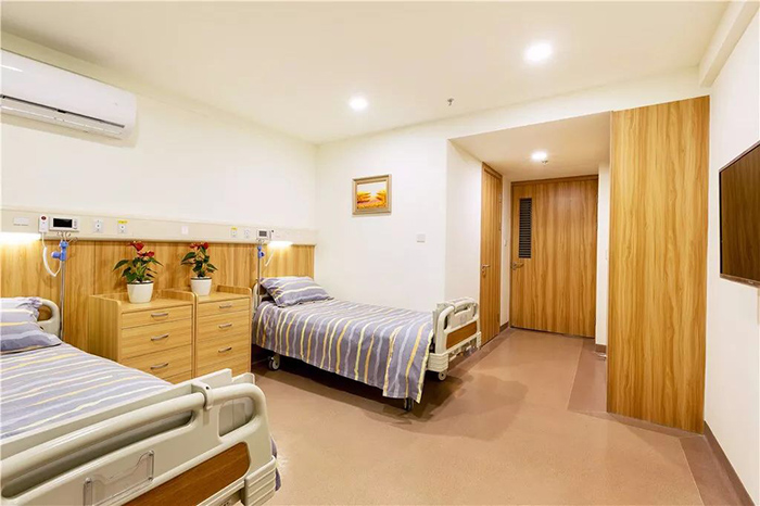Hospital manual bed