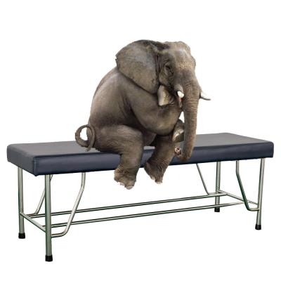 Hospital Stainless Steel Patient Examination Bed